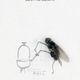Illustration for article titled The Dead Fly Artwork Of Magnus Muhr